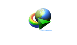 Internet Download Manager 6.42 Build 3 Crack